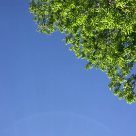 不漁(ToT)の画像