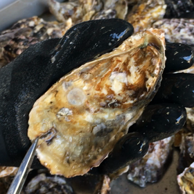 プリプリやぁぁ〜❗️の画像