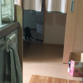 よし子片付ける(๑•̀д•́๑)و ̑̑の画像