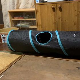 我が家もオリンピック開催ですの画像