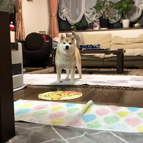 サッカー⚽️だけじゃないよの画像