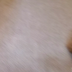 ん？やっぱりの画像