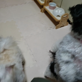 ３ヶ月半ぶりに娘たちに会えたの画像