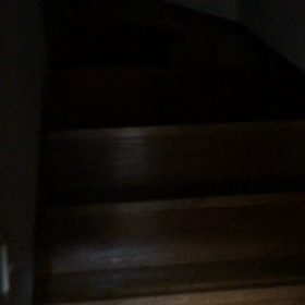 帰省中の娘の騒動と萎縮から放たれたにゃんず。の画像