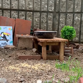 ハトヤマタロウの日記(3日分)の画像