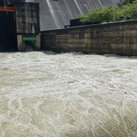 台風の記憶の画像