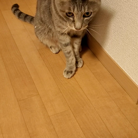 キャッチボールの画像