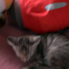 切れた！の画像