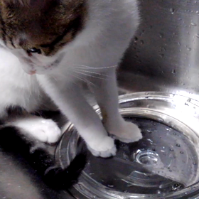 ３月１日～１５日の画像