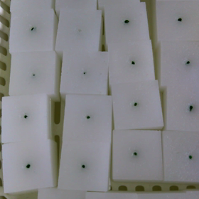 水耕栽培blogの画像