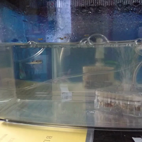 今日のアンディ！の画像