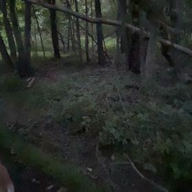 蛍みに行ってきましたの画像