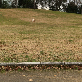 CHAKOの教育係の画像