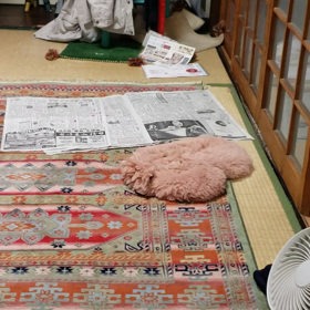 ミリちゃんダッシュ！！の画像