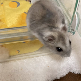 ジャンプ！！の画像