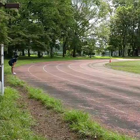 5/21 リレー特別練習㊳の画像