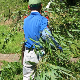 ビリンジャーの画像