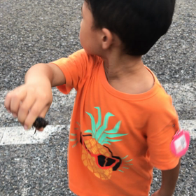 蝉取ったよの画像