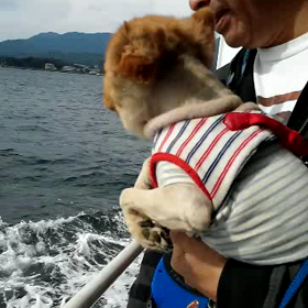 エアー水泳の画像