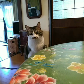 ホッと一息の画像