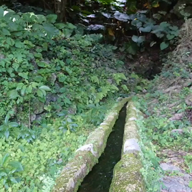 垣花樋川（ｶｷﾉﾊﾅﾋｰｼﾞｬｰ）ムービー②の画像