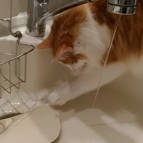 水遊びの画像