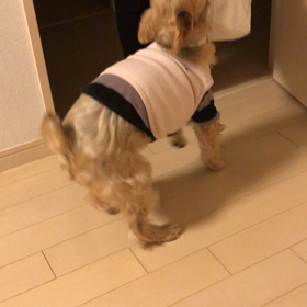 cleoお待たせ❕の画像