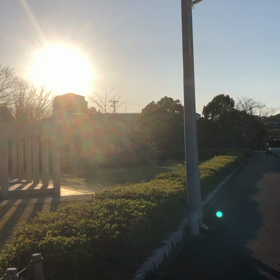 最近の記憶 - 志太郡衙跡 -。の画像