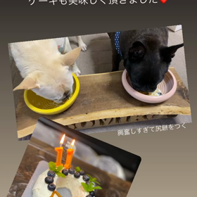 まいにちケーキの画像