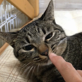 まだまだ…の画像