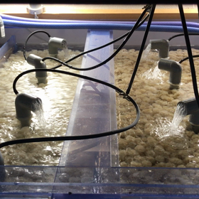 濾過層(改)の画像