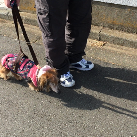 暖かい一日の画像