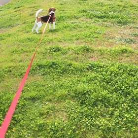 お久しぶり〜の画像