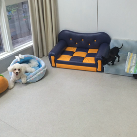 ♪プレイルーム動画♪②の画像