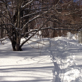 冬の真田の大地の画像