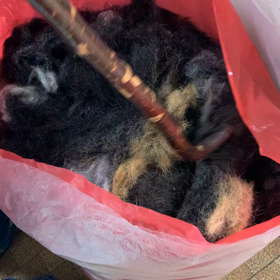 ツンツンの画像