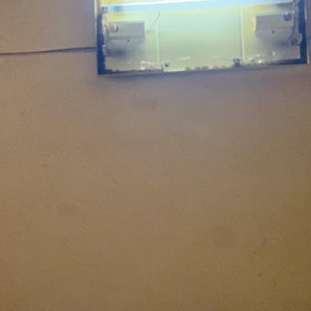 されたばれ、人間性訴えされ、された、やれた、それだ、の画像