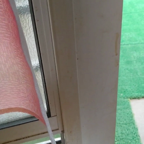 先週のなづニャン(=^ェ^=)の画像