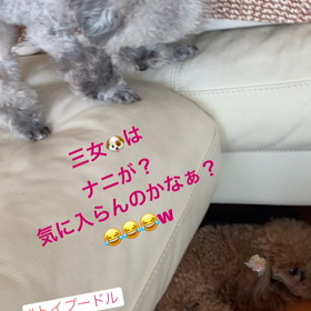 粋だなあぁぁの画像