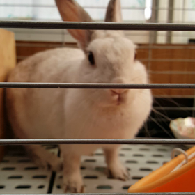 今日のうっちゃん♪はなちゃん♪ 7月31日の画像