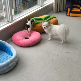 ♪プレイルーム動画♪の画像