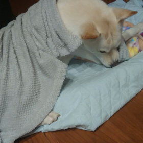 2月たっきーにかかったお金。の画像