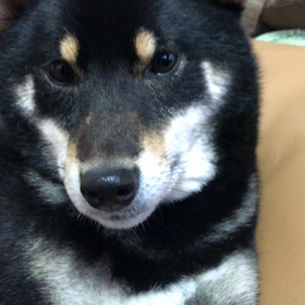 スマホからの試みの画像