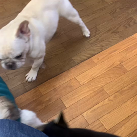 お遊び動画2の画像