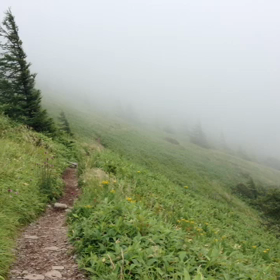 Summer Trip 美ヶ原②の画像