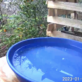 すぎぴたんの事件簿シーズン3　158話（ニアミス発生！あぶねぇ～！）の画像