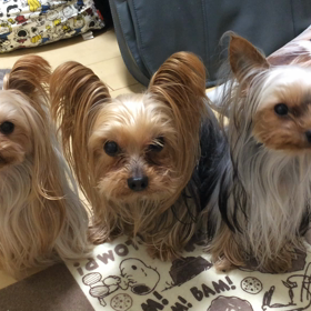 近すぎるゃろ…の画像