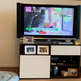 闘うむぎの画像