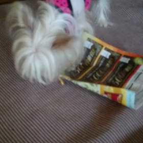 クィニー ご乱心の画像