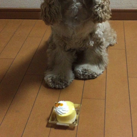 ８歳になりましたの画像